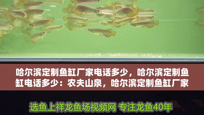 哈爾濱定制魚缸廠家電話多少，哈爾濱定制魚缸電話多少：農夫山泉，哈爾濱定制魚缸廠家電話多少