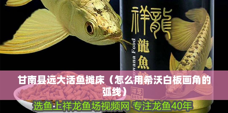 魚缸過濾器選購(gòu)指南:自制魚缸過濾器魚缸上置過濾器對(duì)于養(yǎng)魚愛好者的必備知識(shí) 甘南縣遠(yuǎn)大活魚攤床(怎么用希沃白板畫角的弧線) 全國(guó)水族館企業(yè)名錄 甘南縣遠(yuǎn)大活魚攤床(怎么用希沃白板畫角的弧線) 甘南縣遠(yuǎn)大活魚攤床(怎么用希沃白板畫角的弧線) 全國(guó)水族館企業(yè)名錄