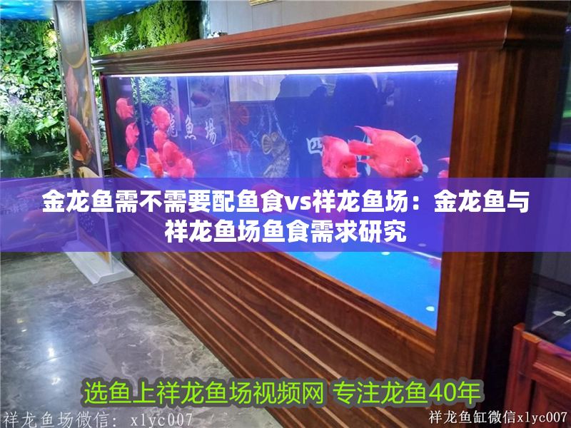 金龍魚需不需要配魚食vs祥龍魚場：金龍魚與祥龍魚場魚食需求研究