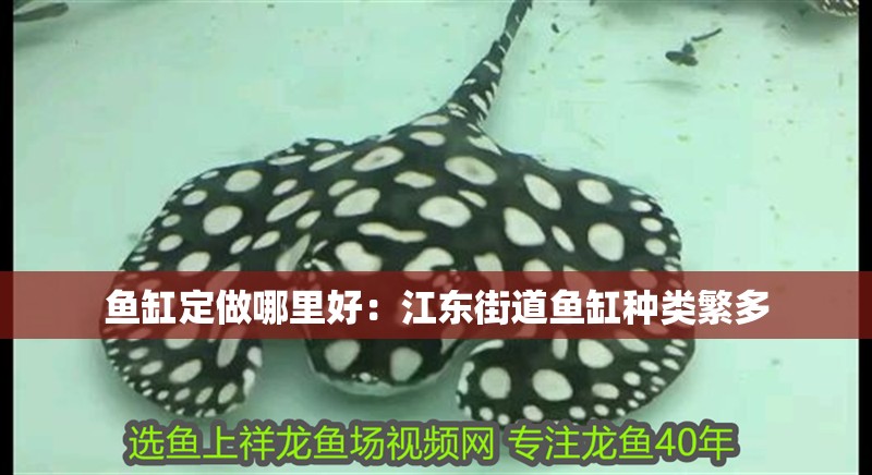 魚(yú)缸定做哪里好：江東街道魚(yú)缸種類(lèi)繁多