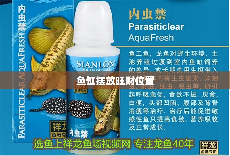 魚缸擺放旺財位置