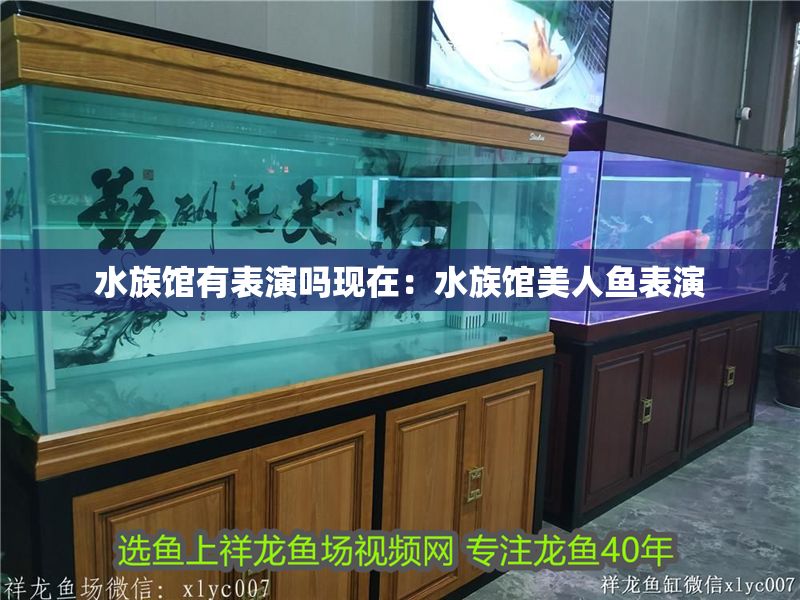 水族館有表演嗎現在：水族館美人魚表演