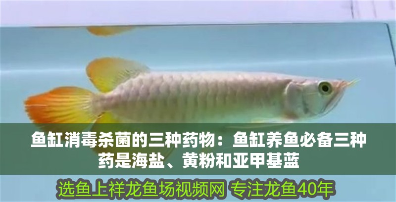 魚缸消毒殺菌的三種藥物：魚缸養魚必備三種藥是海鹽、黃粉和亞甲基藍