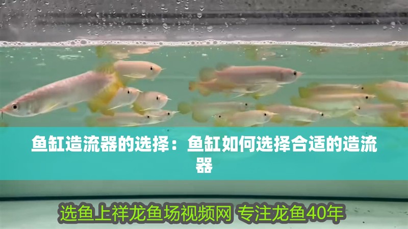 魚缸造流器的選擇：魚缸如何選擇合適的造流器
