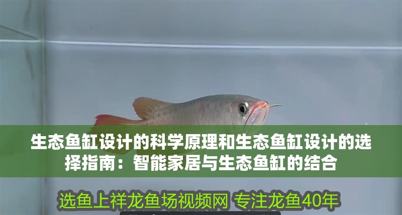 生態(tài)魚缸設(shè)計的科學(xué)原理和生態(tài)魚缸設(shè)計的選擇指南：智能家居與生態(tài)魚缸的結(jié)合