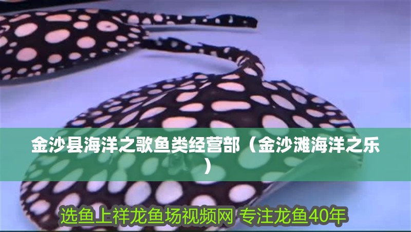 金沙縣海洋之歌魚類經(jīng)營部（金沙灘海洋之樂）