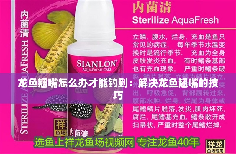 龍魚翹嘴怎么辦才能釣到：解決龍魚翹嘴的技巧