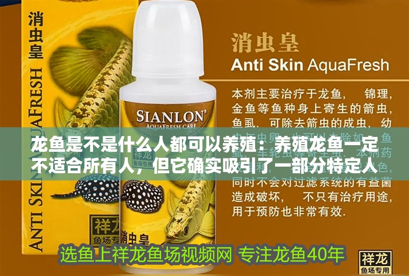 龍魚是不是什么人都可以養殖：養殖龍魚一定不適合所有人，但它確實吸引了一部分特定人群