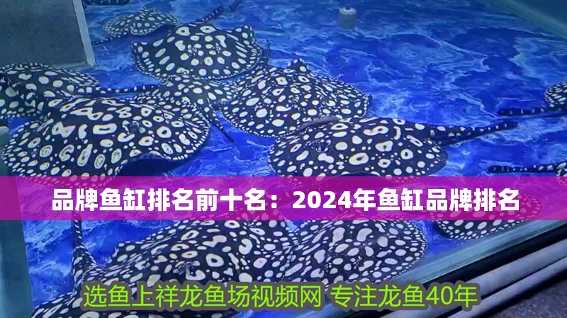品牌魚缸排名前十名：2024年魚缸品牌排名