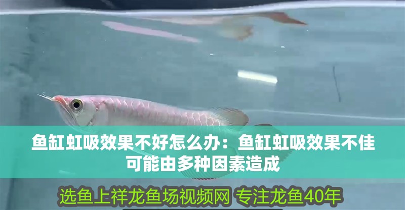 魚缸虹吸效果不好怎么辦：魚缸虹吸效果不佳可能由多種因素造成
