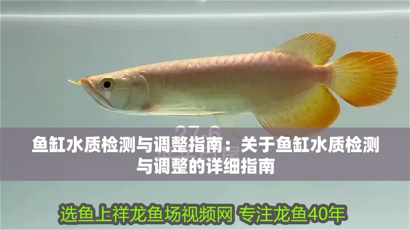 魚缸水質檢測與調整指南：關于魚缸水質檢測與調整的詳細指南
