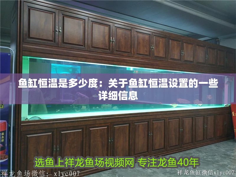 魚缸恒溫是多少度：關于魚缸恒溫設置的一些詳細信息
