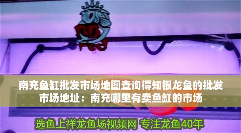 南充魚缸批發市場地圖查詢得知銀龍魚的批發市場地址：南充哪里有賣魚缸的市場