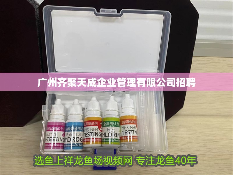 廣州齊聚天成企業管理有限公司招聘