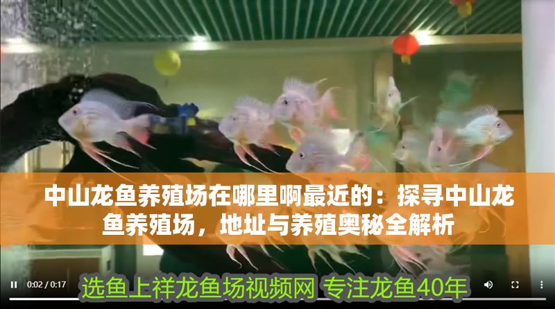 中山龍魚養殖場在哪里啊最近的:探尋中山龍魚養殖場,地址與養殖奧秘全解析 龍魚百科 第1張 中山龍魚養殖場在哪里啊最近的:探尋中山龍魚養殖場,地址與養殖奧秘全解析 中山龍魚養殖場在哪里啊最近的:探尋中山龍魚養殖場,地址與養殖奧秘全解析 龍魚百科 第1張