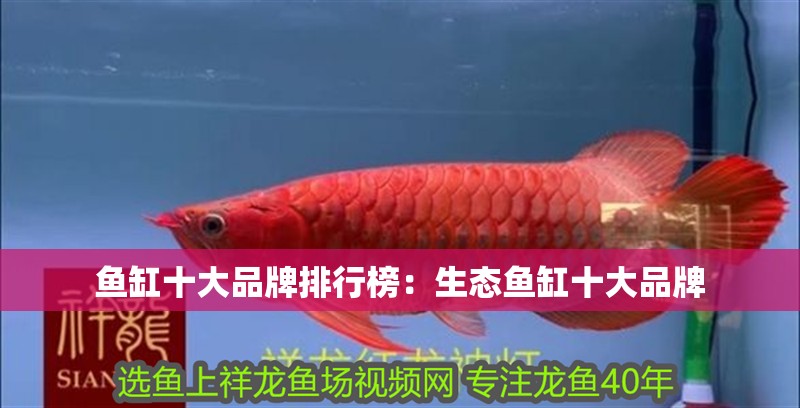 魚缸十大品牌排行榜：生態魚缸十大品牌