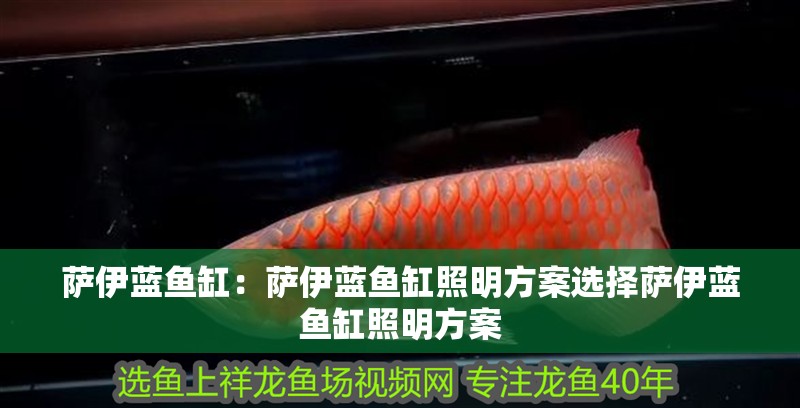 薩伊藍(lán)魚缸：薩伊藍(lán)魚缸照明方案選擇薩伊藍(lán)魚缸照明方案