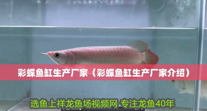 彩蝶魚缸生產廠家（彩蝶魚缸生產廠家介紹）