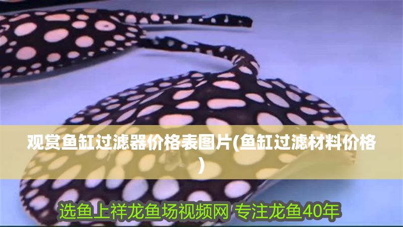 觀賞魚缸過濾器價格表圖片(魚缸過濾材料價格)