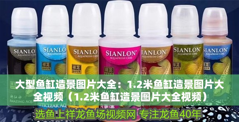 大型魚缸造景圖片大全：1.2米魚缸造景圖片大全視頻（1.2米魚缸造景圖片大全視頻）