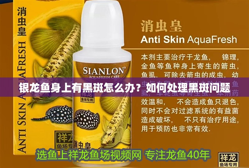 銀龍魚身上有黑斑怎么辦？如何處理黑斑問題