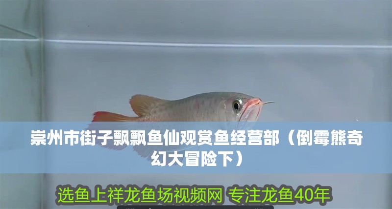 崇州市街子飄飄魚仙觀賞魚經營部（倒霉熊奇幻大冒險下）