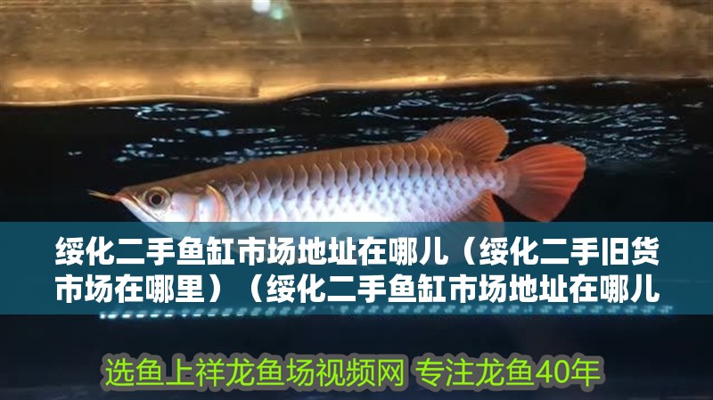 綏化二手魚缸市場地址在哪兒（綏化二手舊貨市場在哪里）（綏化二手魚缸市場地址在哪兒綏化二手家具市場地址在哪兒）