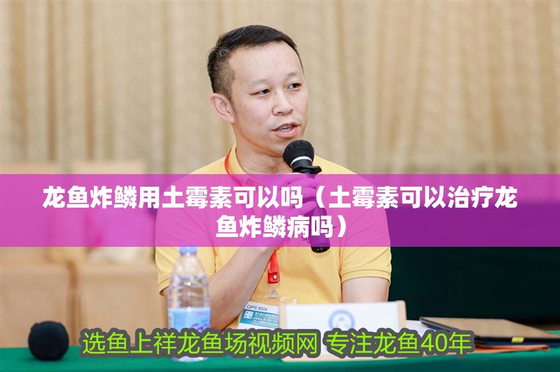 龍魚炸鱗用土霉素可以嗎（土霉素可以治療龍魚炸鱗病嗎）
