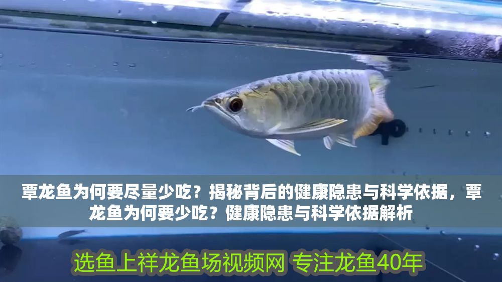 覃龍魚(yú)為何要盡量少吃？揭秘背后的健康隱患與科學(xué)依據(jù)，覃龍魚(yú)為何要少吃？健康隱患與科學(xué)依據(jù)解析