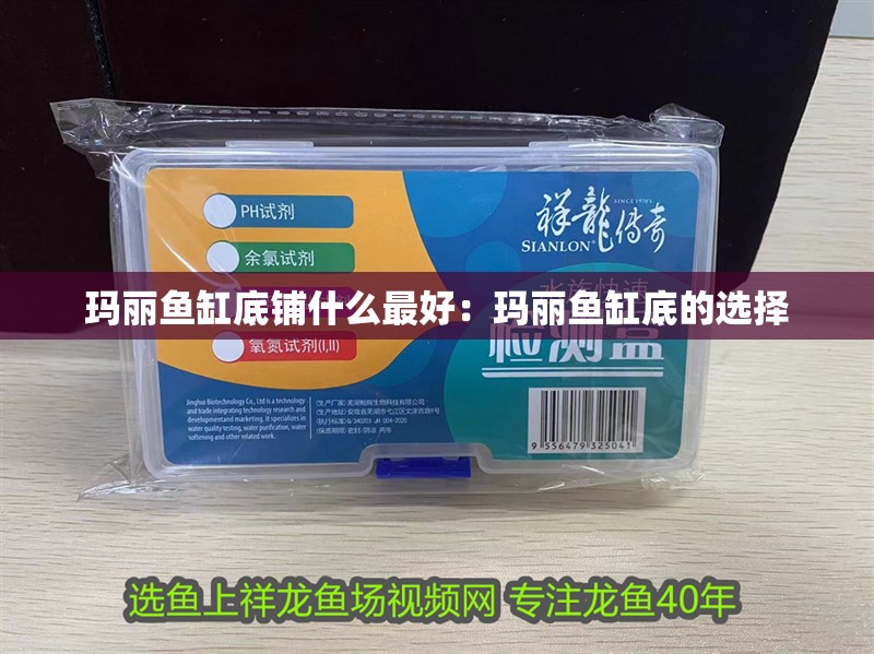 瑪麗魚缸底鋪什么最好：瑪麗魚缸底的選擇