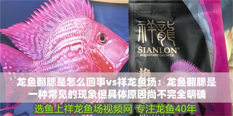 龍魚翻腮是怎么回事vs祥龍魚場：龍魚翻腮是一種常見的現象但具體原因尚不完全明確