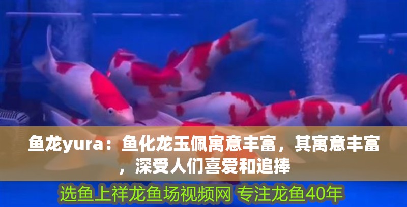 魚龍yura：魚化龍玉佩寓意豐富，其寓意豐富，深受人們喜愛和追捧
