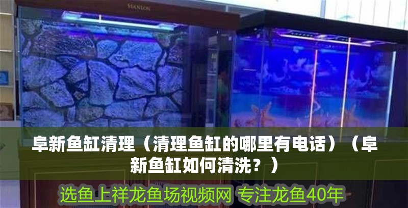 阜新魚缸清理（清理魚缸的哪里有電話）（阜新魚缸如何清洗？）