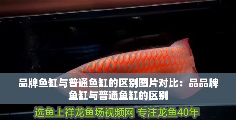 品牌魚缸與普通魚缸的區(qū)別圖片對比：品品牌魚缸與普通魚缸的區(qū)別
