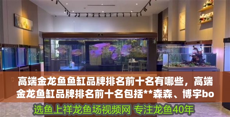 高端金龍魚魚缸品牌排名前十名有哪些，高端金龍魚缸品牌排名前十名包括**森森、博宇boyu