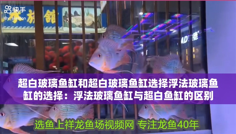 超白玻璃魚(yú)缸和超白玻璃魚(yú)缸選擇浮法玻璃魚(yú)缸的選擇：浮法玻璃魚(yú)缸與超白魚(yú)缸的區(qū)別