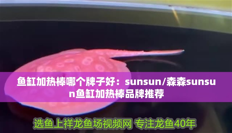 魚缸加熱棒哪個牌子好：sunsun/森森sunsun魚缸加熱棒品牌推薦