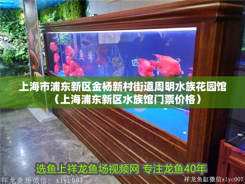 上海市浦東新區(qū)金楊新村街道周明水族花園館（上海浦東新區(qū)水族館門票價(jià)格）