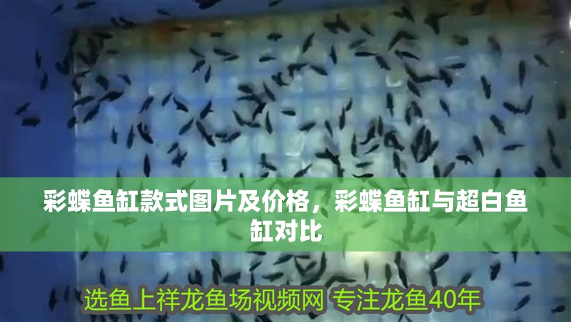 彩蝶魚缸款式圖片及價(jià)格，彩蝶魚缸與超白魚缸對(duì)比