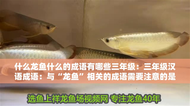 什么龍魚什么的成語有哪些三年級：三年級漢語成語：與“龍魚”相關(guān)的成語需要注意的是