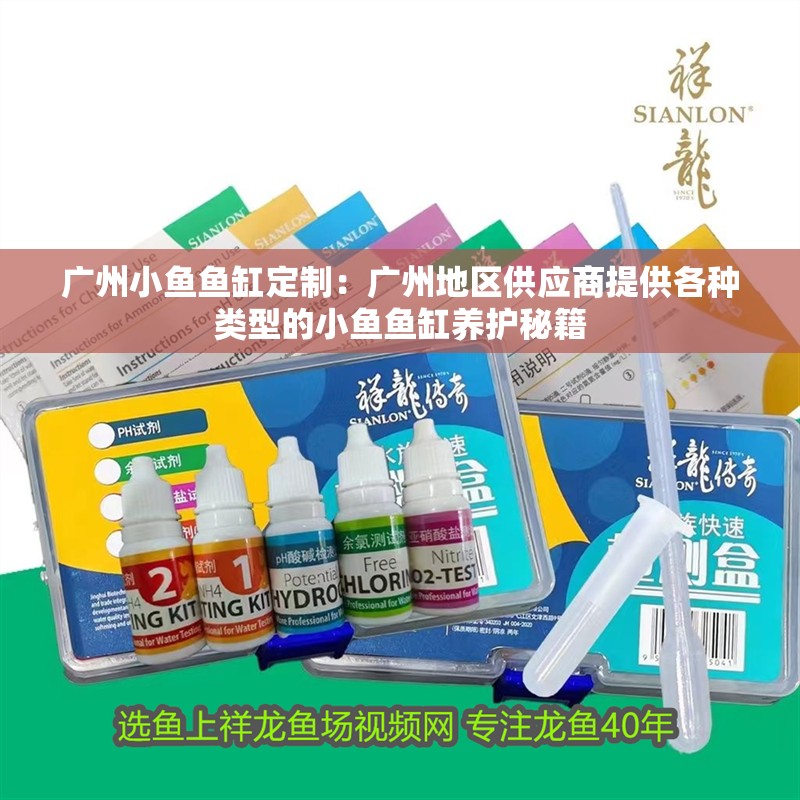 廣州小魚魚缸定制：廣州地區供應商提供各種類型的小魚魚缸養護秘籍