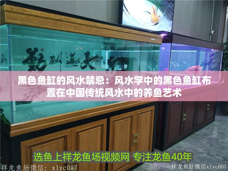 黑色魚缸的風(fēng)水禁忌：風(fēng)水學(xué)中的黑色魚缸布置在中國傳統(tǒng)風(fēng)水中的養(yǎng)魚藝術(shù)