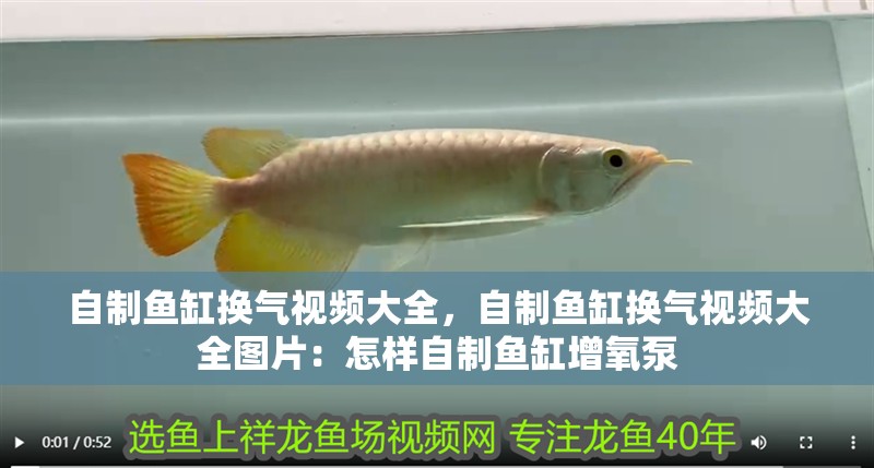 自制魚缸換氣視頻大全，自制魚缸換氣視頻大全圖片：怎樣自制魚缸增氧泵