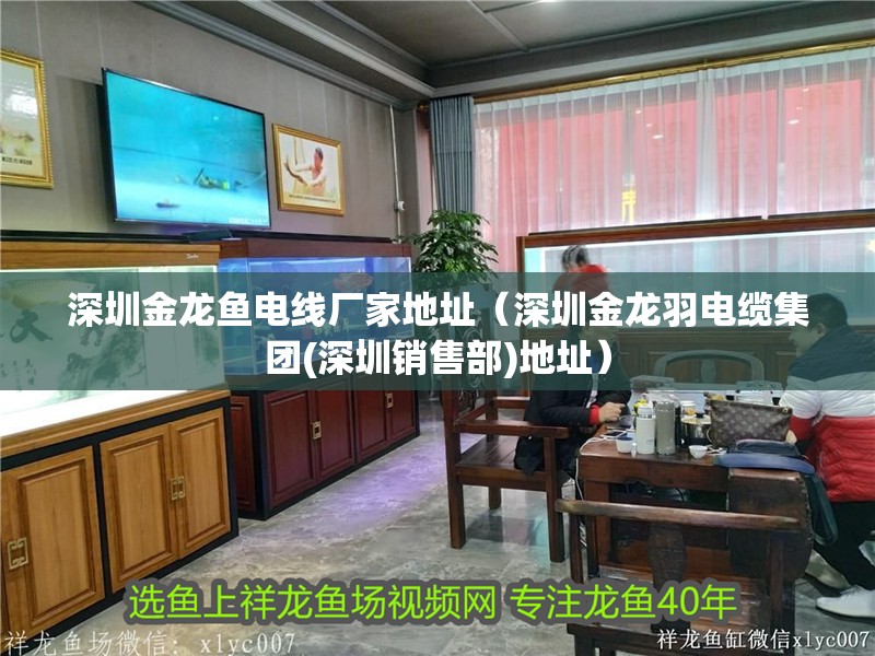 深圳金龍魚電線廠家地址（深圳金龍羽電纜集團(tuán)(深圳銷售部)地址）