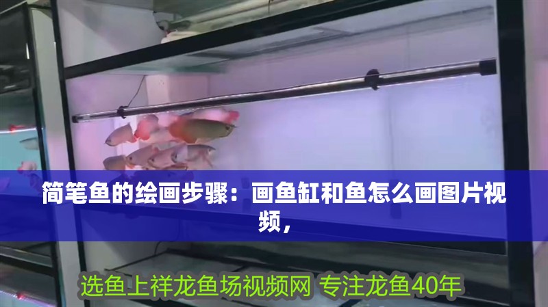 簡筆魚的繪畫步驟：畫魚缸和魚怎么畫圖片視頻，