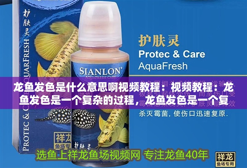 龍魚發色是什么意思啊視頻教程：視頻教程：龍魚發色是一個復雜的過程，龍魚發色是一個復雜的過程