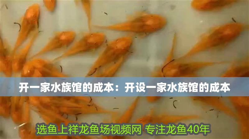 開一家水族館的成本：開設(shè)一家水族館的成本