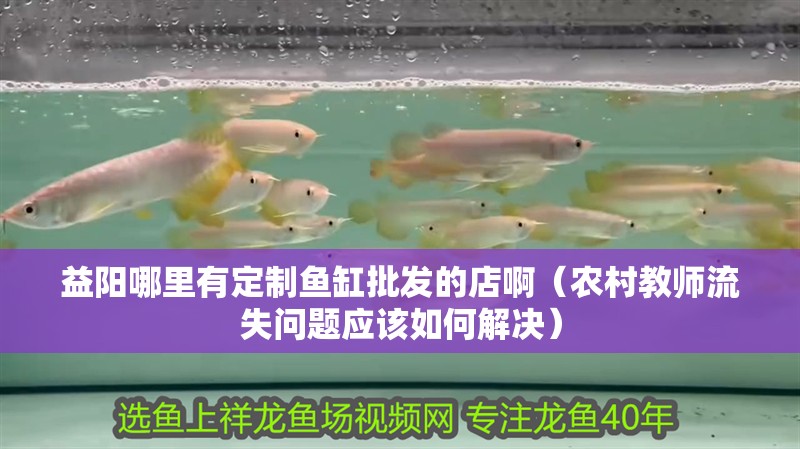 益陽(yáng)哪里有定制魚(yú)缸批發(fā)的店?。ㄞr(nóng)村教師流失問(wèn)題應(yīng)該如何解決）