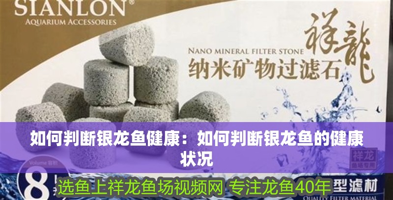 如何判斷銀龍魚健康：如何判斷銀龍魚的健康狀況