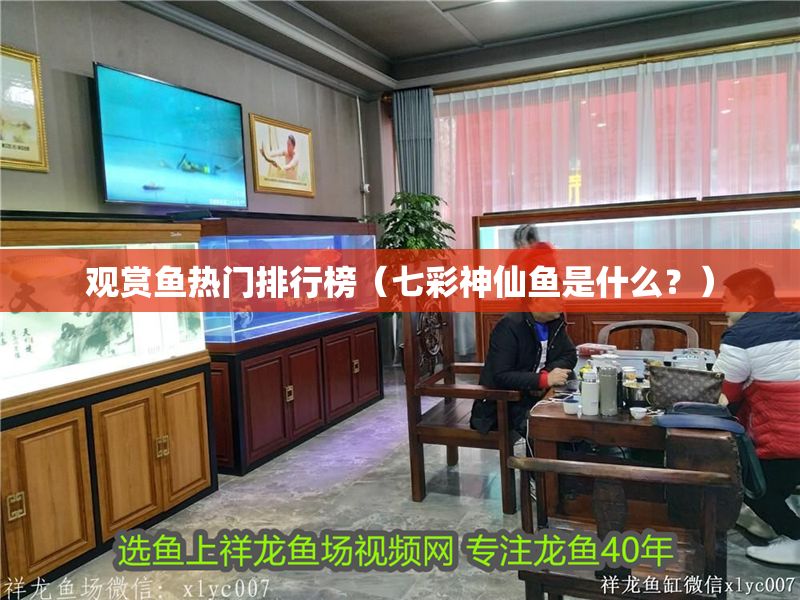 觀賞魚熱門排行榜（七彩神仙魚是什么？）
